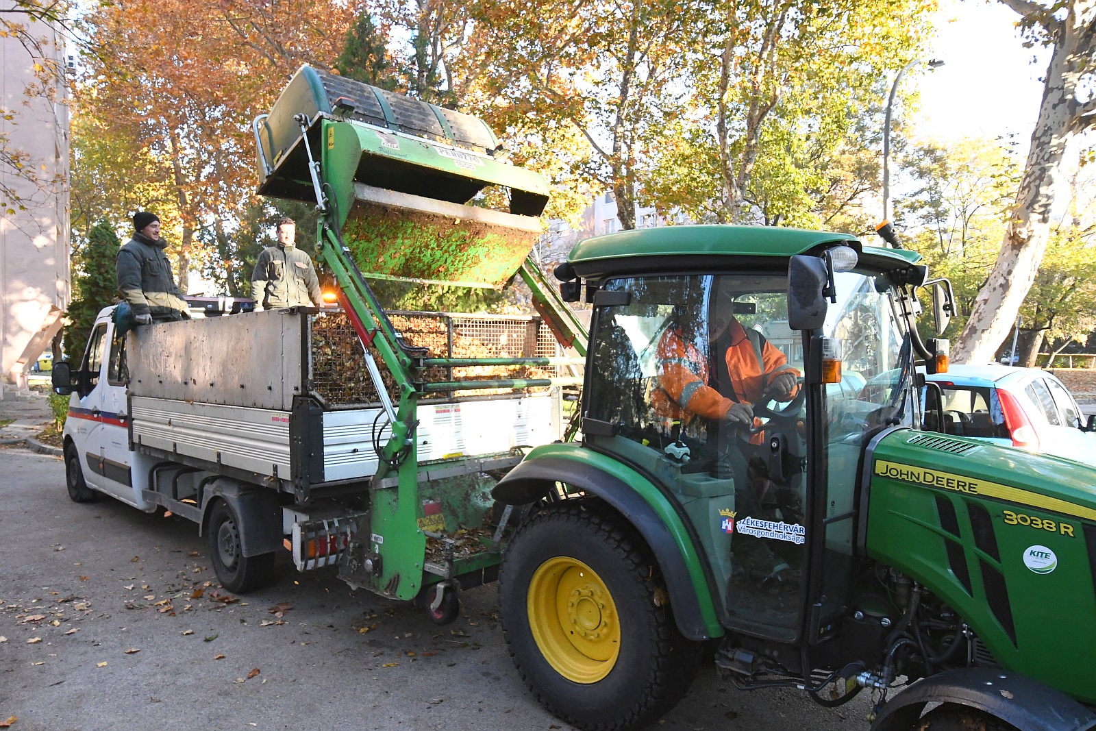 Lombgyűjtés a Lövölde utcában